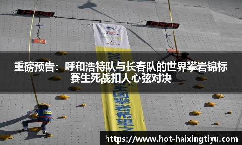 海星体育直播官方网站
