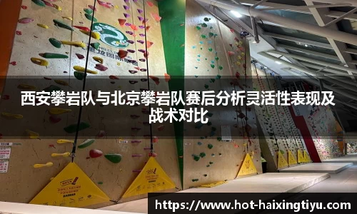 海星体育直播官方网站