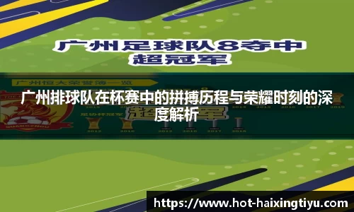 海星体育直播APP